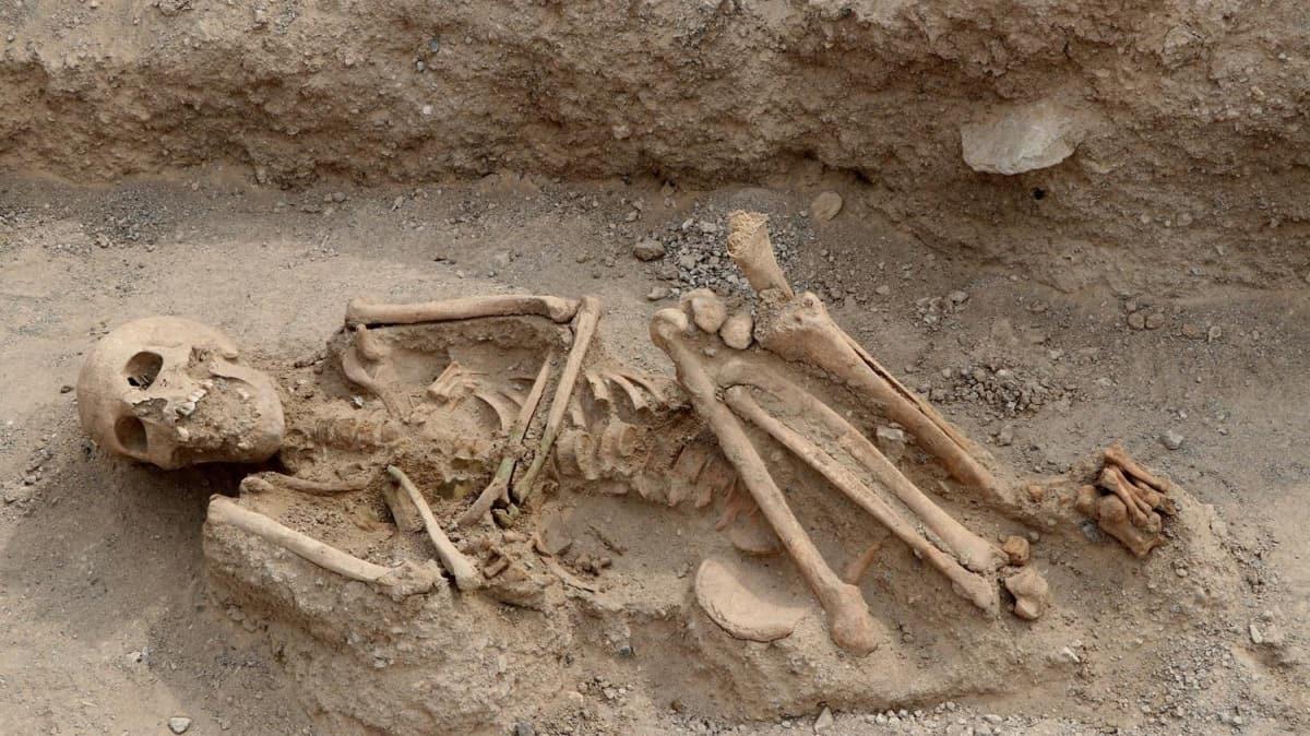 Van'da bulunan Urarturlara ait iskeletlerden hibirinin diinde bir re rastlanmad