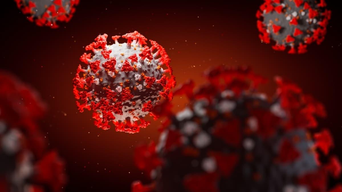 Koronavirsle mcadelede nemli bulu: SARS-Cov-2'yi etkisiz hale getiren antikor bulundu
