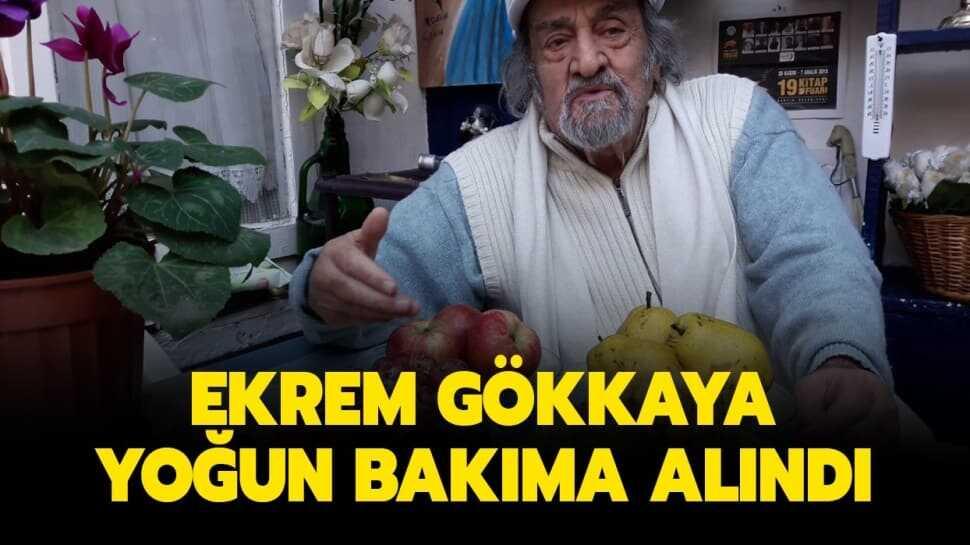 Oyuncu Ekrem Gökkaya kimdir" Yoğun bakıma alınan Ekrem Gökkaya kaç yaşında, filmleri nelerdir"