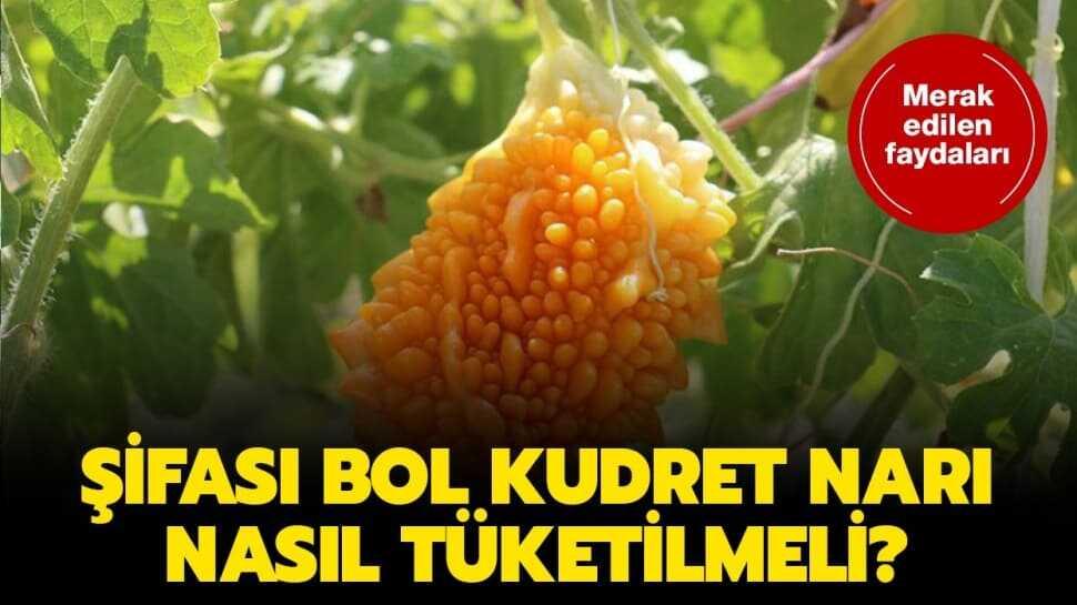 Kudret narı nedir, faydaları nelerdir" Kudret narı nasıl yenmeli"