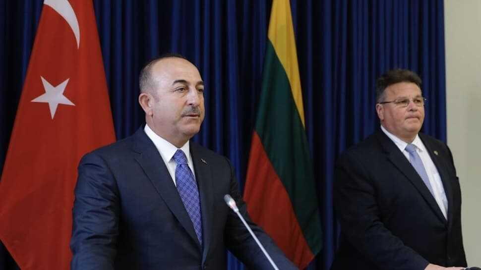 Dışişleri Bakanı Çavuşoğlu: Litvanya ile yakın işbirliği ve koordinasyon için kararlılıkla çaba göstermeye devam edeceğiz