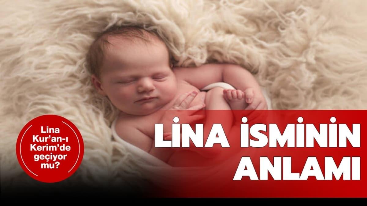 Lina ismi nedir, ne demek" Lina isminin anlam ne" 