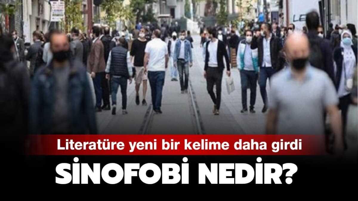 Sinofobi ne anlama geliyor" Sinofobi nedir, ne demek"