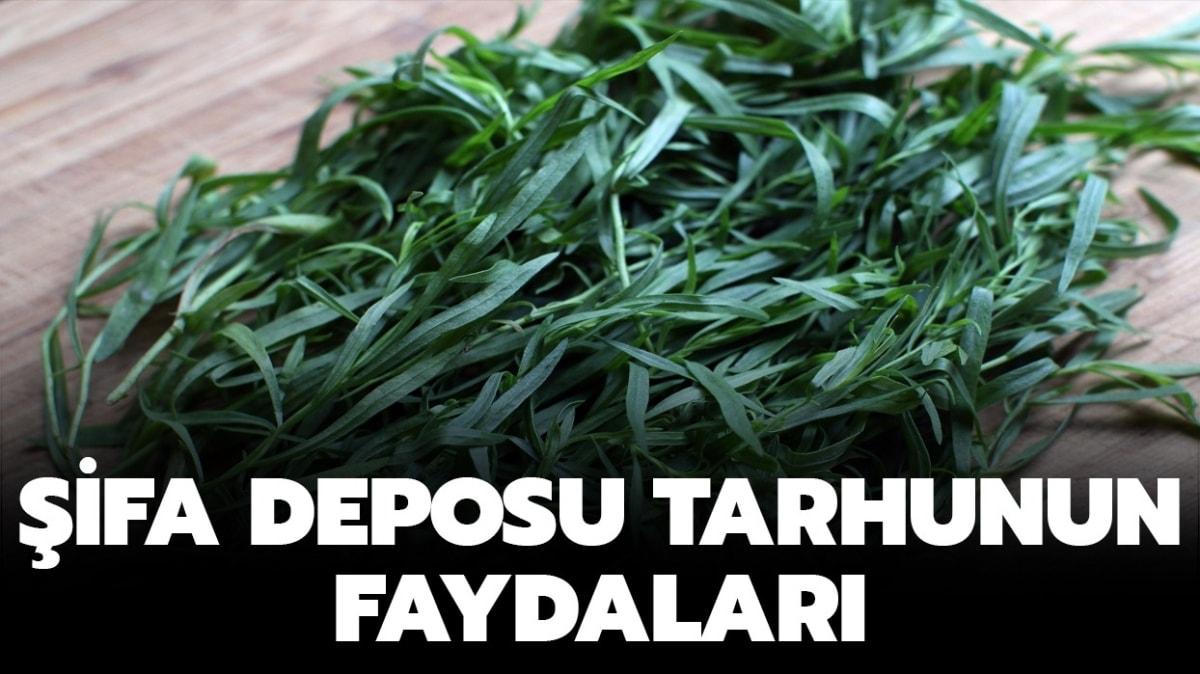 Tarhunun faydalar nelerdir" Tarhun nedir, ne demek" 