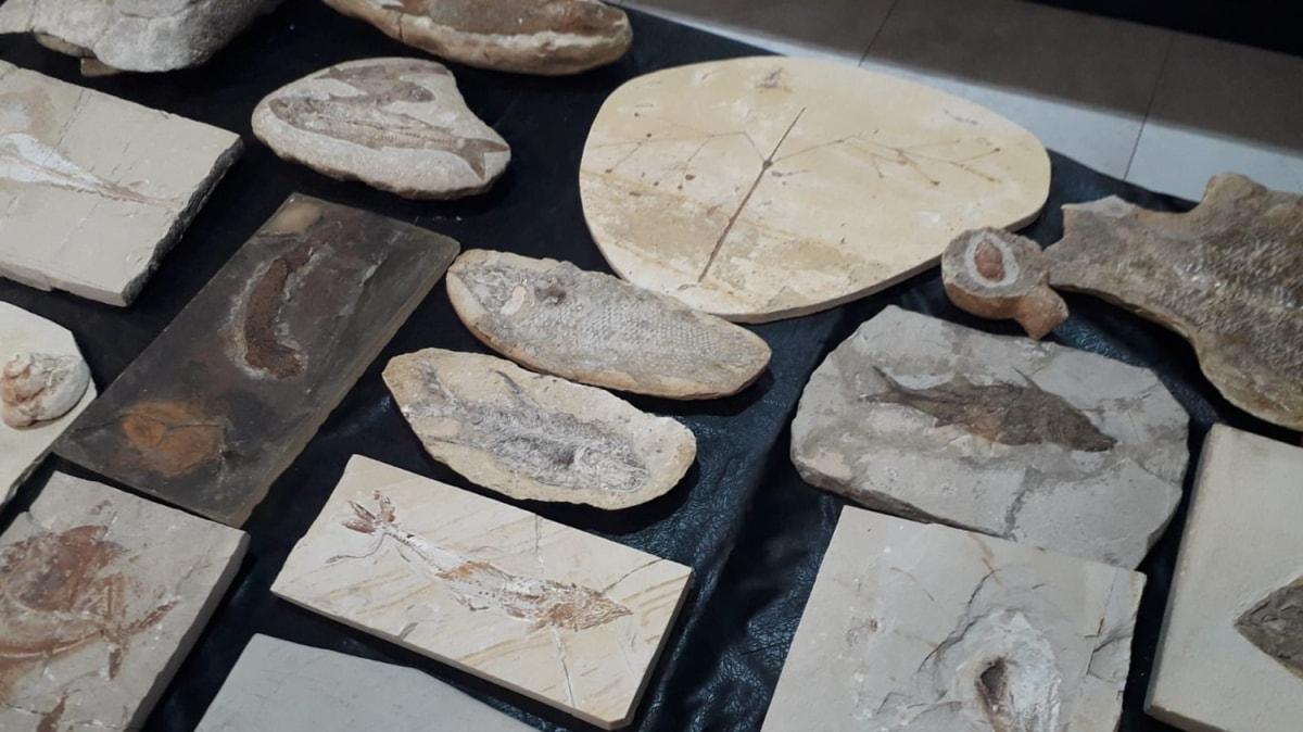 Adnan Oktar'n evlerinde fosiller ele geirildi: 879 adet fosile 10 milyon dolar deer biildi