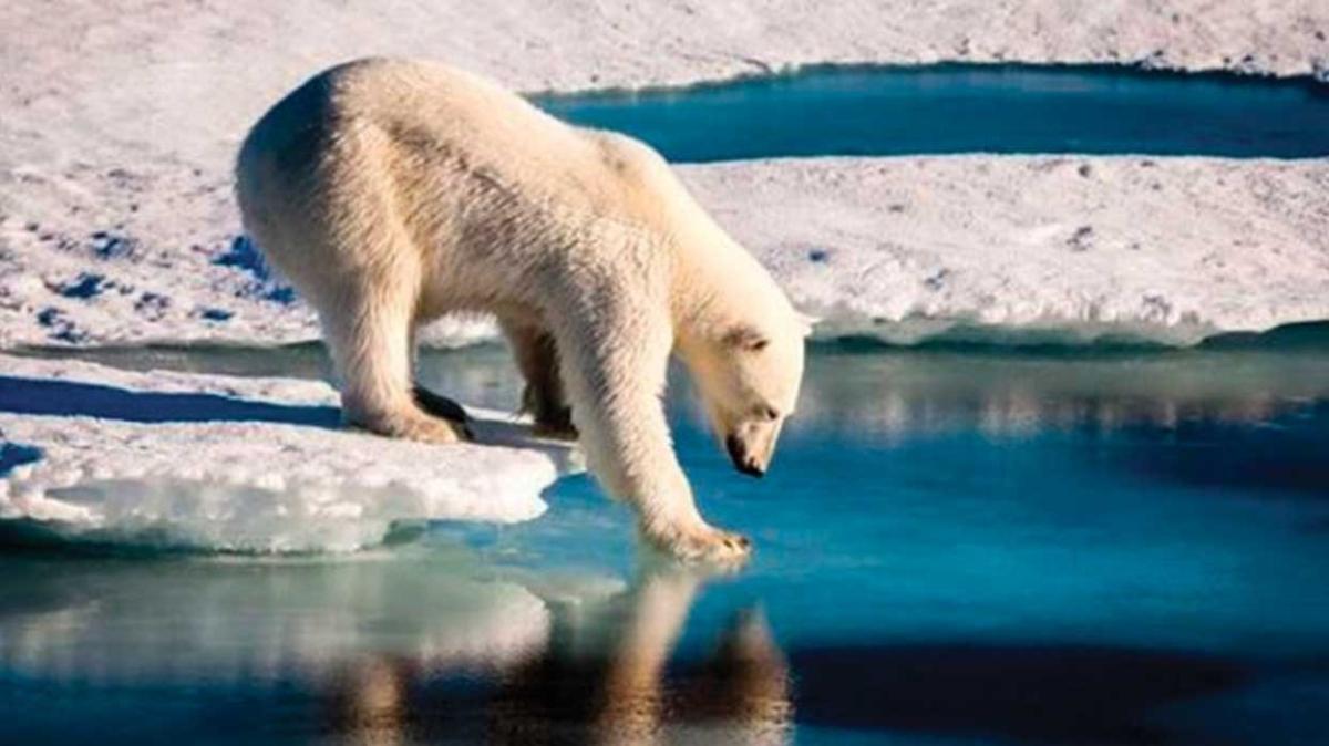 Arktik buz denizi ilk kez donmad