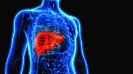 Karacieri koruyan sarmsak kr