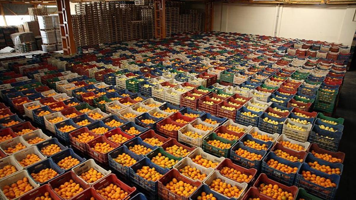 Trkiye'nin ekim ay ya meyve ve sebze ihracat yzde 18 artt