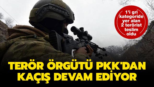 Terr rgt PKK'dan ka devam ediyor: 1'i gri kategoride olan 2 terrist teslim oldu