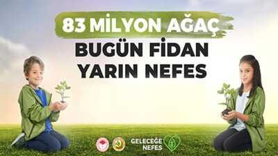 Bagis Haberleri