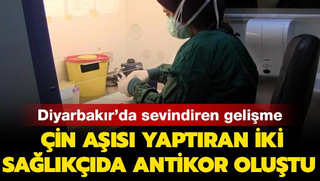 Diyarbakr'da in as yaptran iki salkda antikor olutu