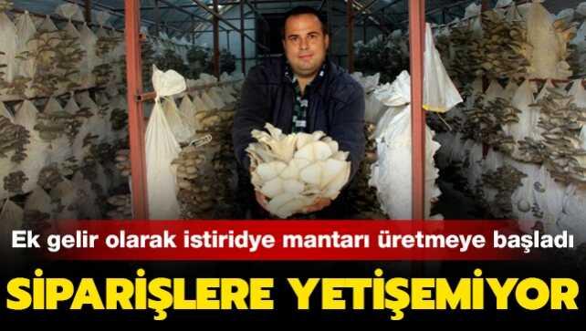 Ek gelir olarak istiridye mantarı üretmeye başladı, şimdilerde siparişlere yetişemiyor