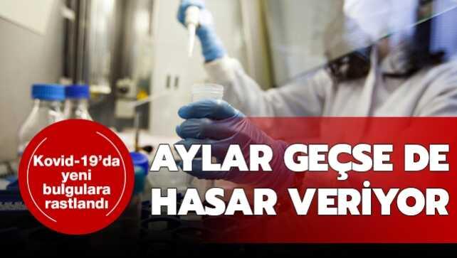 Koronavirüste yeni bulgulara rastlandı: Aylar geçse de hasar veriyor