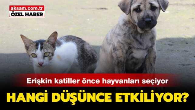 'Erişkin katiller önce hayvanlarda prova yapıyor'