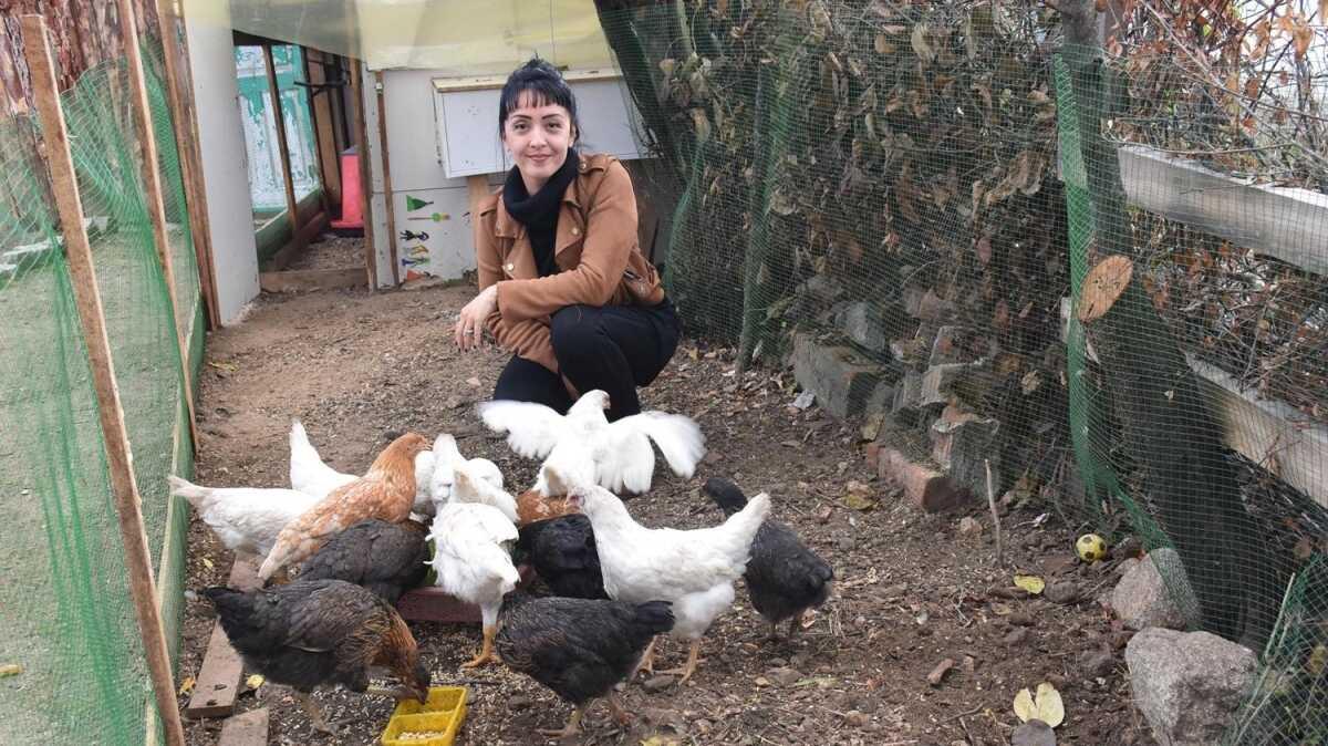 stanbul'da medya sektrnden istifa edip, kye yerletiler