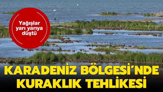 Yalar yar yarya dt: Karadeniz Blgesi'nde kuraklk tehlikesi