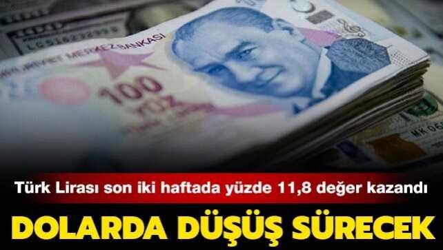 Türk lirası varlıklar güven vermeye devam ediyor: İki haftada dolar karşısında yüzde 11,8 değer kazandı