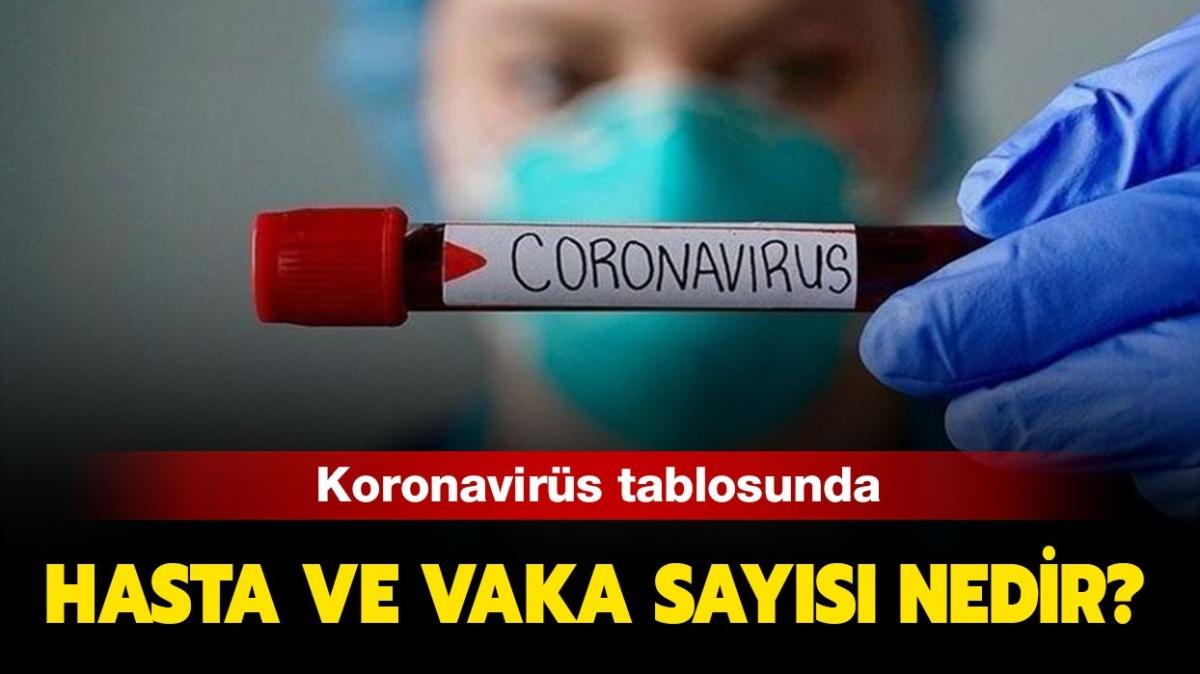 Koronavirs vaka says nedir" Koronavirs hasta says nedir" 