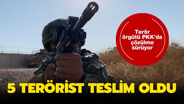 Terr rgt PKK'dan kaan 5 terrist gvenlik glerine teslim oldu