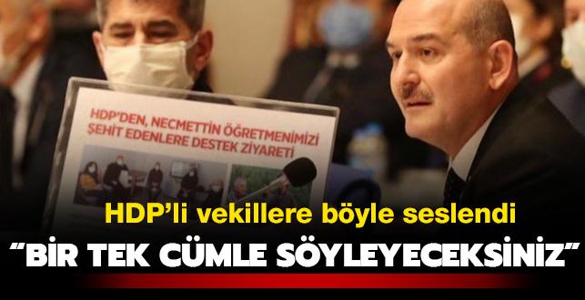 Bakan Soylu HDP'li vekillere seslendi: Bir tek cmle syleyeceksiniz