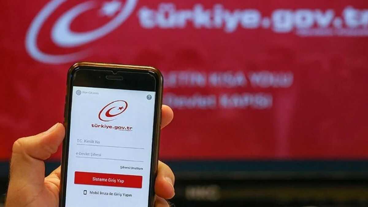 e-Devlet Kaps'na rekor ziyaret... 2 milyar kii tklad