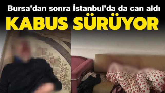 Sahte iki kabusu sryor: Bursa'dan sonra stanbul'da da can ald