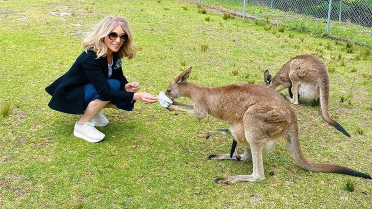Zerrin Tekindor'un kanguru besledii grntler sosyal medyay sallad!