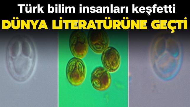 Son dakika haberi... Türk bilim insanlarından tarihi keşif! Dünya literatürüne geçti