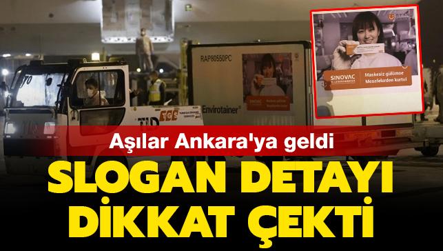 Türkiye'ye gelen Çin aşılarının bulunduğu konteynerlerde dikkat çeken slogan