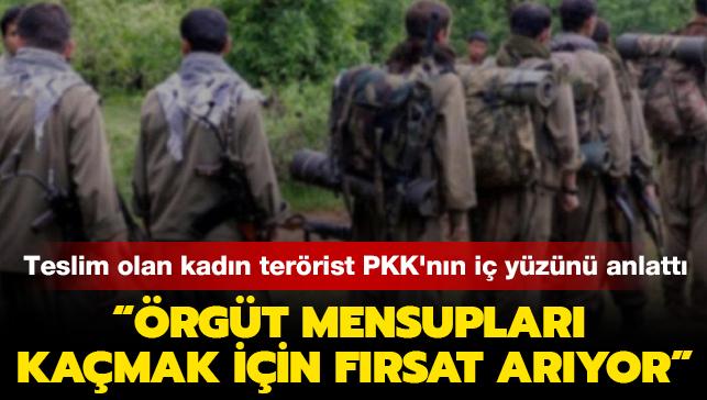Teslim olan kadın terörist PKK'nın iç yüzünü anlattı: Çözülme başladı, örgüt mensupları kaçmak için fırsat arıyor