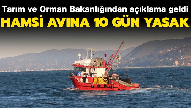 Tarm ve Orman Bakanlndan aklama: Karadeniz'de hamsi avna 10 gn yasak getirildi