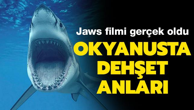 Jaws filmi gerek oldu: Okyanusta dehet anlar