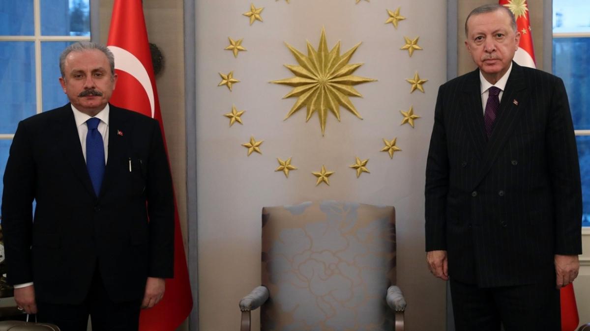 Başkan Erdoğan, TBMM Başkanı Mustafa Şentop'u kabul etti