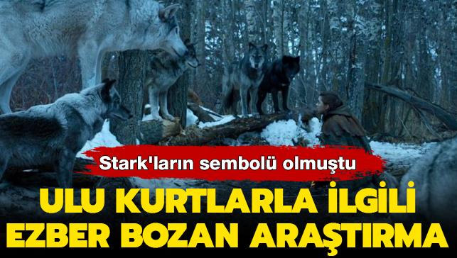 Stark'larn sembol olmutu: Ulu kurtlarla ilgili ezber bozan aratrma