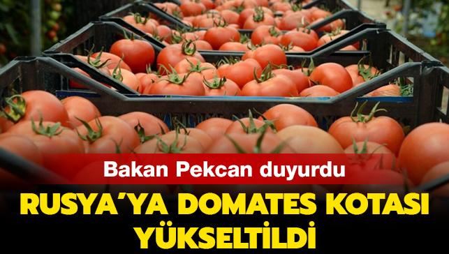 Rusya'ya domates ihracatnda kota 250 bin tona ykseltildi