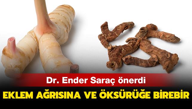 Dr. Ender Saraç'tan havlıcan önerisi! Eklem ağrılarına ve öksürüğe doğal ilaç