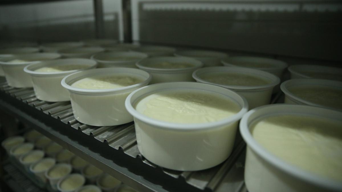 63 yıldır aynı yöntemle yoğurt üretiyorlar, tadan babaanne yoğurdu sanıyor