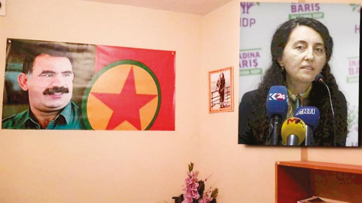 HDP, Apo posterlerini savundu