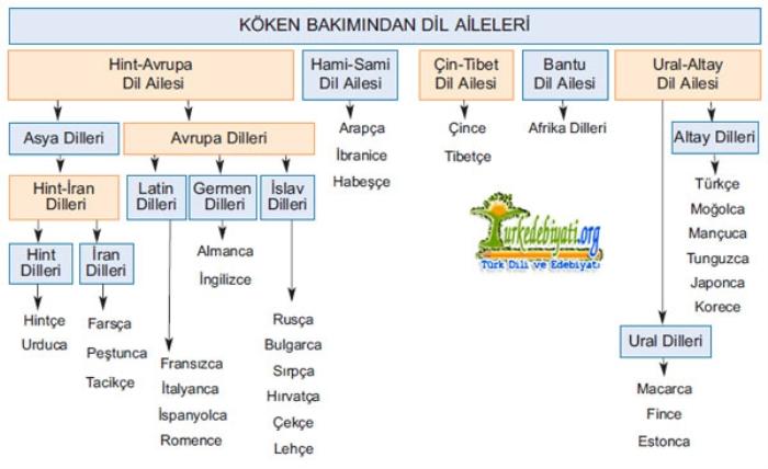 Dillerin Siniflandirilmasi Dil Aileleri Neler Turkce Bicim Acisindan Hangi Dil Grubundadir