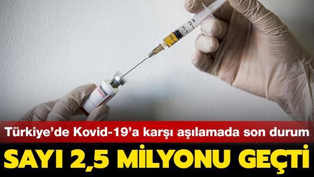 Trkiye'de koronavirse kar alamada son durum... Say 2,5 milyonu geti