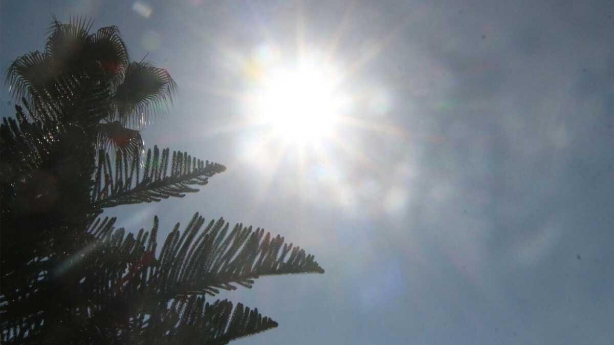 Adana'da hava scakl glgede 21, gne altndaki termometrelerde ise 32 dereceyi gsterdi.