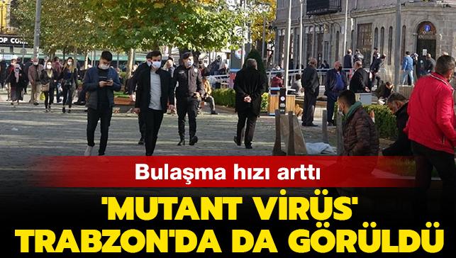 Bulama hz artt: 'Mutant virs' Trabzon'da da grld