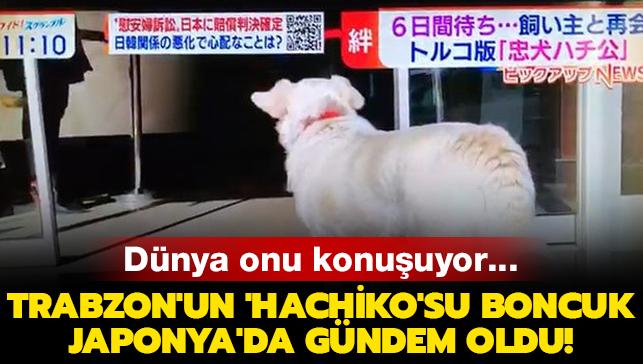 Trabzon'un 'Hachiko'su Boncuk Japonya'da gndem oldu!