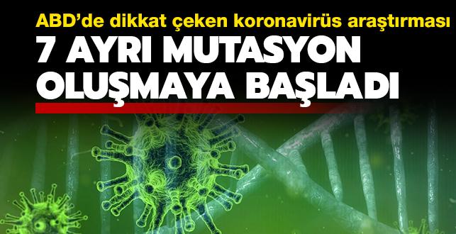 ABD'de dikkat eken koronavirs aratrmas... 7 ayr mutasyon olumaya balad