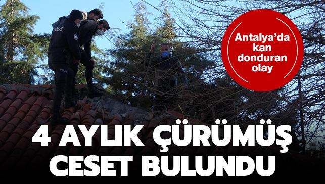 Antalya'da kan donduran olay: 4 aylk rm ceset bulundu