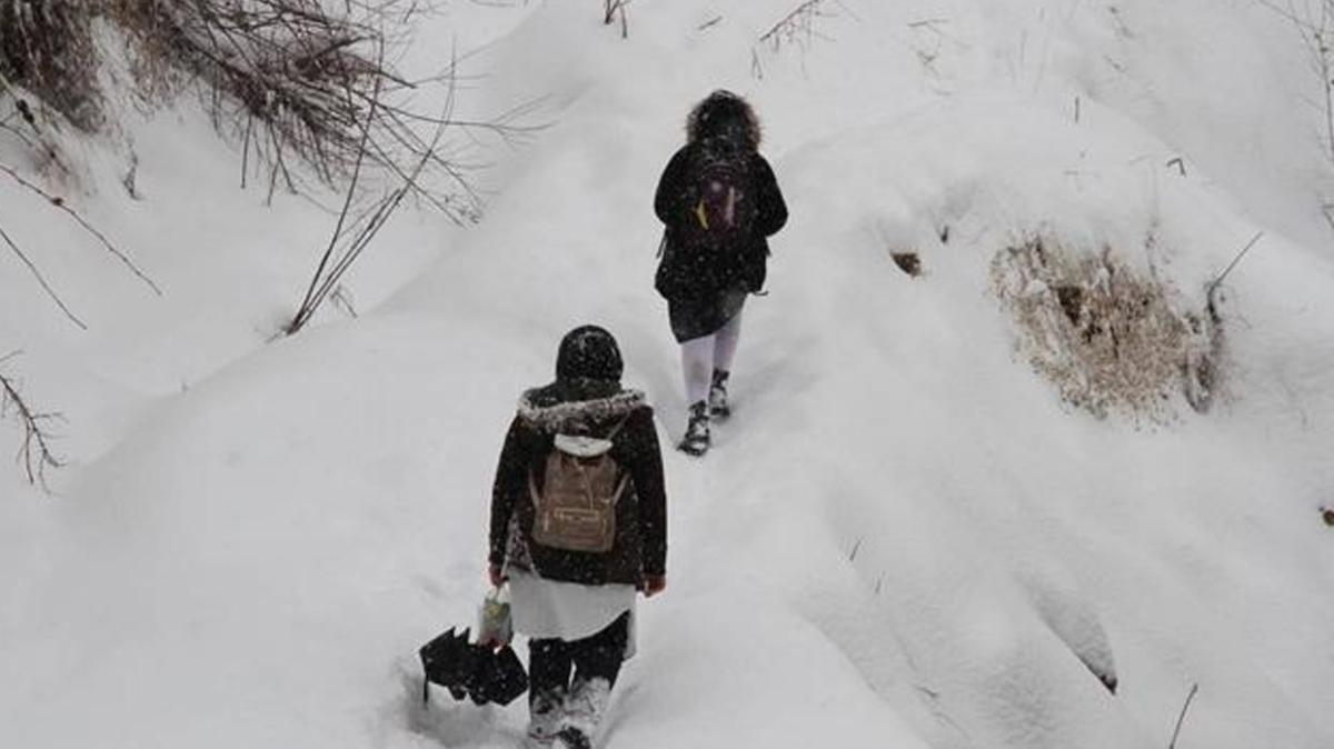 Erzincan, Ardahan, Artvin, Tokat ve Mudanya'da yüz yüze eğitime kar engeli