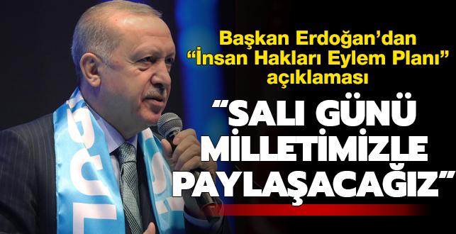 Başkan Erdoğan: Önümüzdeki salı İnsan Hakları Eylem Planını paylaşacağız
