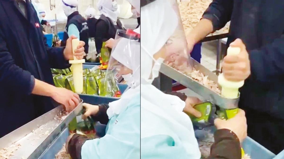 Ton balığını çıplak elle paketlediler! Sosyal medyada tepki yağdı