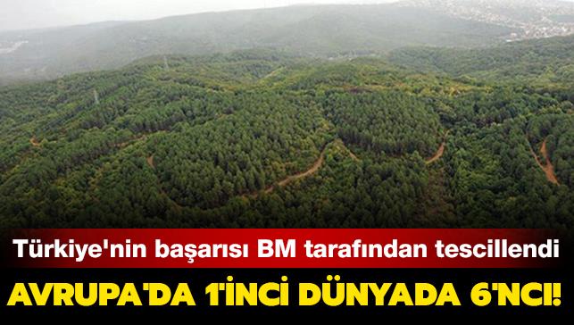 Türkiye'nin orman varlığını artırma başarısı BM tarafından da tescillendi