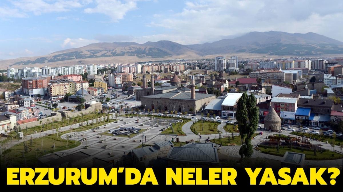 Erzurum'da hafta sonu sokağa çıkmak yasak mı" Erzurum hangi risk kategorisinde, rengi ne"